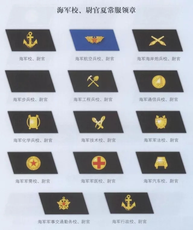 海军识别标志里的秘密,当兵多年的老海军都不一定清楚!