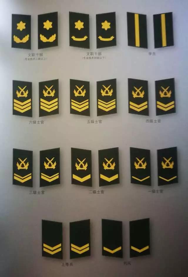 军服领子上的军衔图片