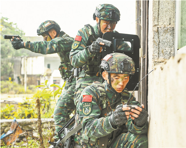 雷电突击队迷彩服图片